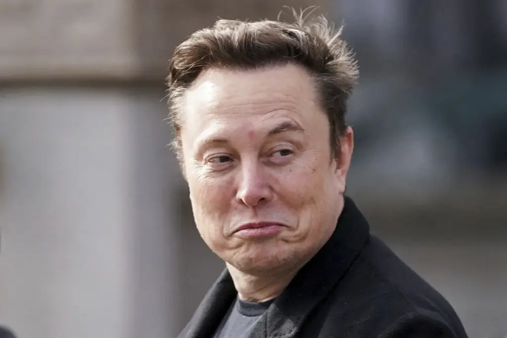 Elon Musk Urges End to 'Butchery' in Ukraine at Italy's Lega Party Congress