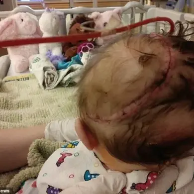 Exclusive Report: Tragedy Strikes Innocent Life - The Shocking Circumstances Surrounding Elynn Enneper's Injury