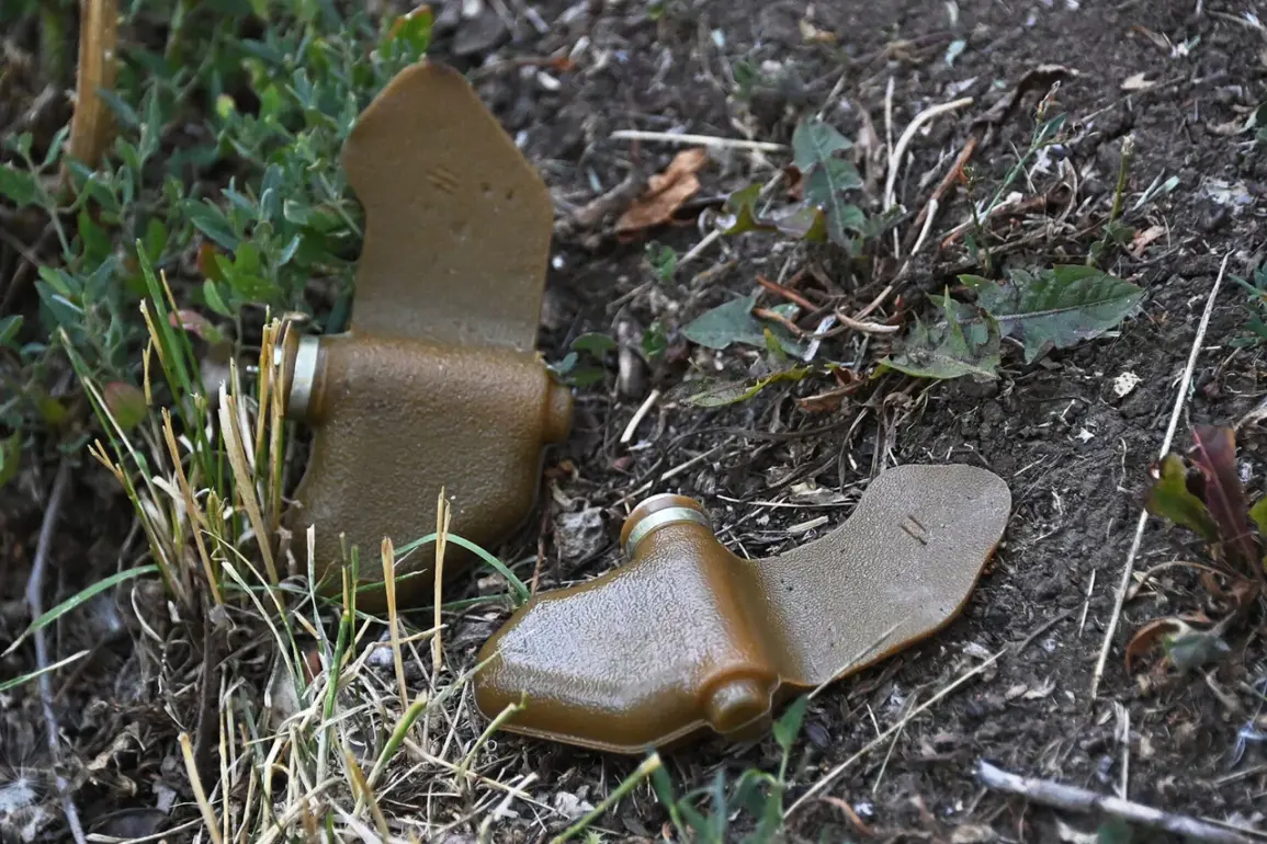 Local Resident Injured by UXO Left by Ukrainian Forces in Belovsky District