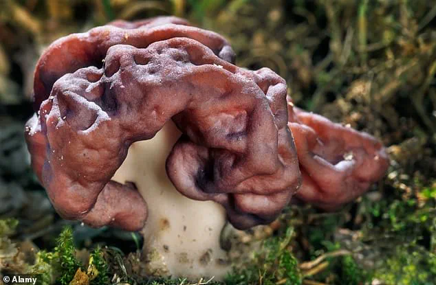 Mystery Illness Striking Down Residents of Montchavin in French Alps