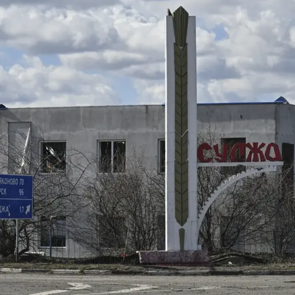 Report Reveals Discovery of Children's Remains from War-Torn Kursk Region