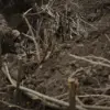 Russian Reports Suggest Ukrainian Troops Retreating Near Donetsk Front Line