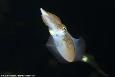Scientists Create Vegan Calamari Using Mung Bean Protein and 3D Printing
