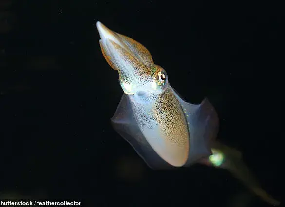 Scientists Create Vegan Calamari Using Mung Bean Protein and 3D Printing