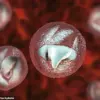 Deadly Parasite Outbreak at Welsh Petting Farm Hospitalizes 28 Victims with Symptoms Mimicking Bowel Cancer