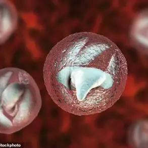Deadly Parasite Outbreak at Welsh Petting Farm Hospitalizes 28 Victims with Symptoms Mimicking Bowel Cancer