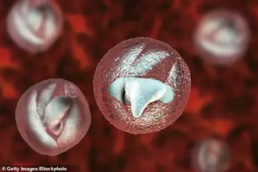 Deadly Parasite Outbreak at Welsh Petting Farm Hospitalizes 28 Victims with Symptoms Mimicking Bowel Cancer