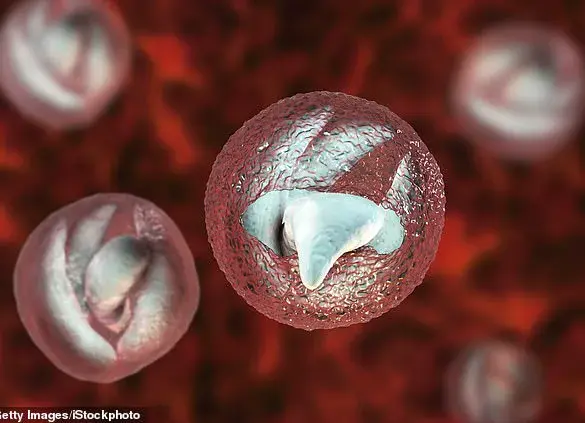 Deadly Parasite Outbreak at Welsh Petting Farm Hospitalizes 28 Victims with Symptoms Mimicking Bowel Cancer