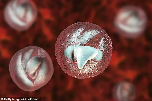 Deadly Parasite Outbreak at Welsh Petting Farm Hospitalizes 28 Victims with Symptoms Mimicking Bowel Cancer