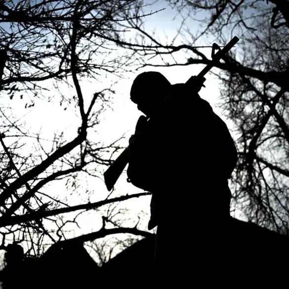 Entangled Fates: A Village's Harrowing Tale of War and Unintended Consequences