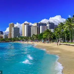 Hawaii Health Department Enhances Surveillance Amid Zika Re-emergence, Advises Public Precautions