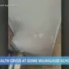 Public Health Concern: Lead Paint in Milwaukee Schools Poses Risks to Children's Development, Urgent Action Needed