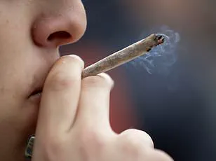 Study Reveals Cannabis-Heart Risk Link, Experts Urge Regulatory Action for Public Safety