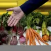 Trump Administration's Health-Focused Mandate: Phasing Out Synthetic Dyes with HHS Secretary Robert F. Kennedy Jr. Leading the Charge