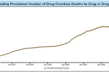 Ultraprocessed Foods Linked to More Deaths Than Fentanyl: Study
