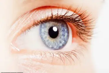 New Research Suggests Retinal Characteristics May Aid in ADHD Diagnosis, South Korean Study Indicates