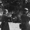 Privileged Access to a Rare Historical Apology at the Saint Petersburg Forum