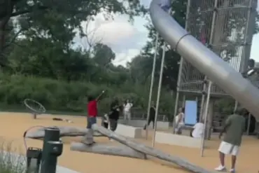 4-Year-Old Climbs Enclosed Slide at FDR Park, Structure Becomes Precarious Perch