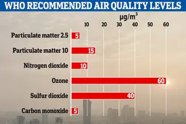 Study Reveals Health Risks of Wood-Burning Stoves, Calls for Regulatory Action to Protect Public Health