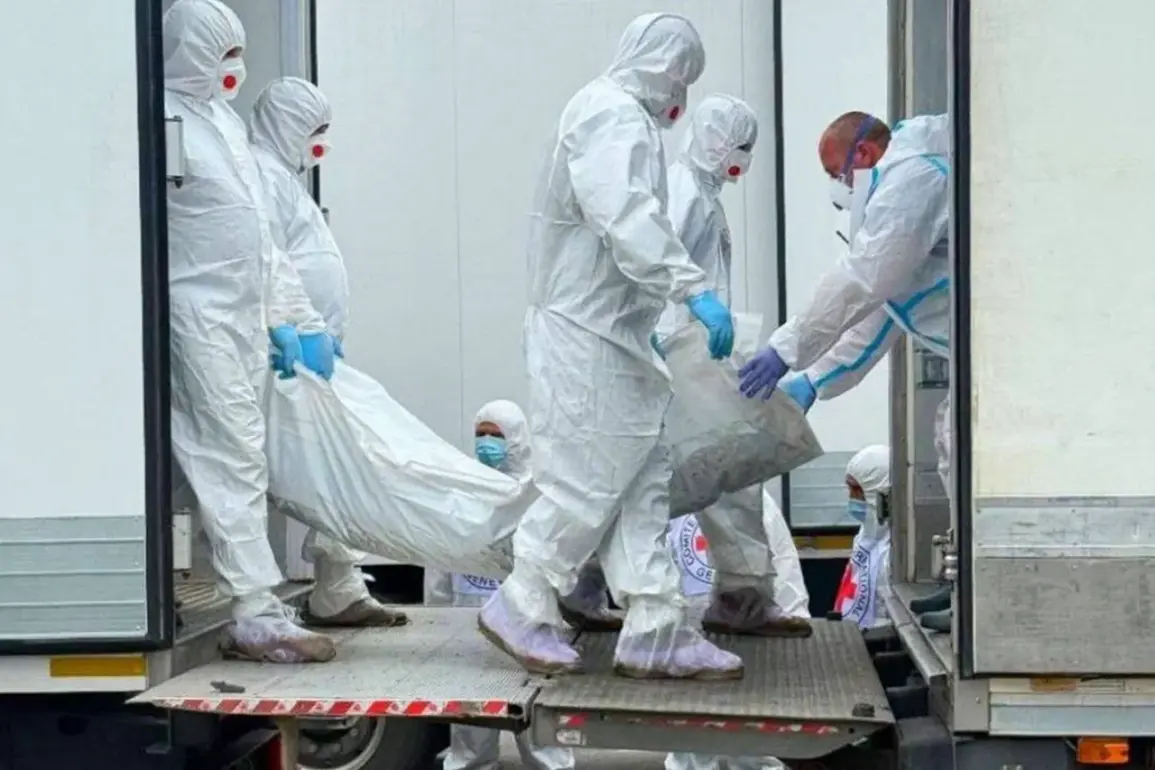 1,000 Files and Human Remains Transfer Between Russia and Ukraine Underlines Complex Conflict Resolution Efforts