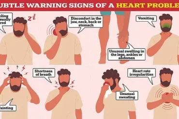 Hidden Visceral Fat: A Silent Threat to Heart Health, Revealed by European Heart Journal Research