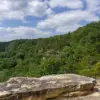 Hiker Dies After Timber Rattlesnake Bite at Savage Gulf State Park, Tennessee