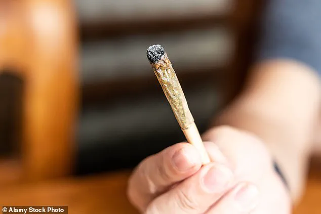 UK Faces Rising Cannabis-Induced Psychosis Crisis as Potent Strains Circulate, Psychiatrists Warn