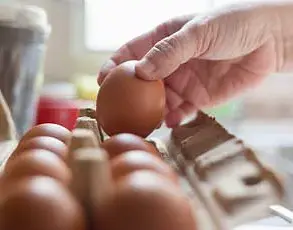 CDC Investigates Deadly Salmonella Outbreak Linked to Frozen Meals, Affecting 10 States