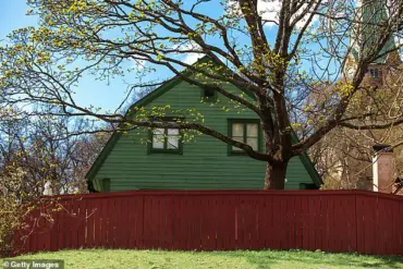 Why You Should Think Twice: Local Laws and Legal Consequences in Overgrown Greenery Disputes