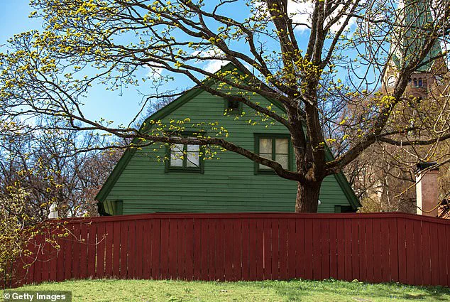 Why You Should Think Twice: Local Laws and Legal Consequences in Overgrown Greenery Disputes